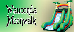 Wauconda Moonwalk